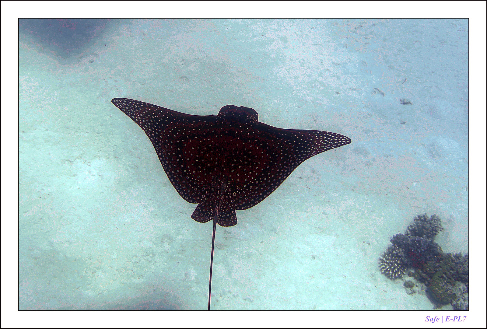 Hurghada - Juillet 2021 - 066